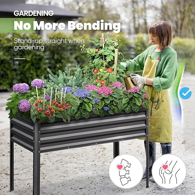 KING BIRD Raised Garden Bed - Image 4