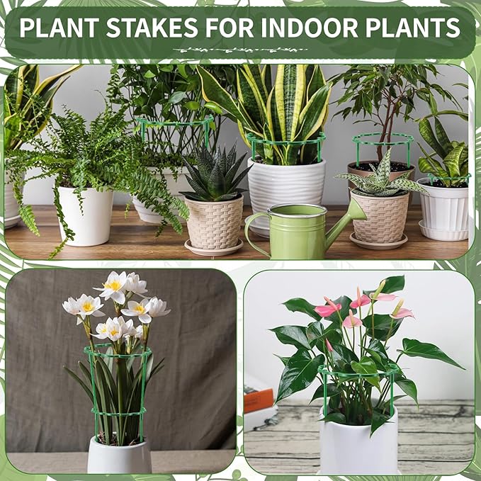 12 Pack Plant Support Stakes Sets - Image 7