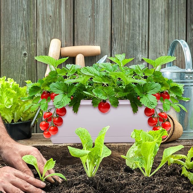 Window Box Planter, 7 Pack Plastic Vegetable Flower Planters Boxes 17 Inches - Image 7