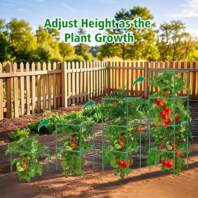 3 Pack Square Tomato Cages for Garden, 42 Inches Heavy Duty Metal Tomatoes - Image 3