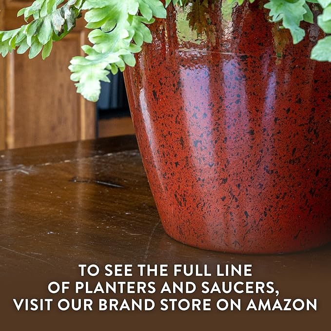 Classic Home and Garden Premiere Collection Planter, Vogue 8" - Image 7