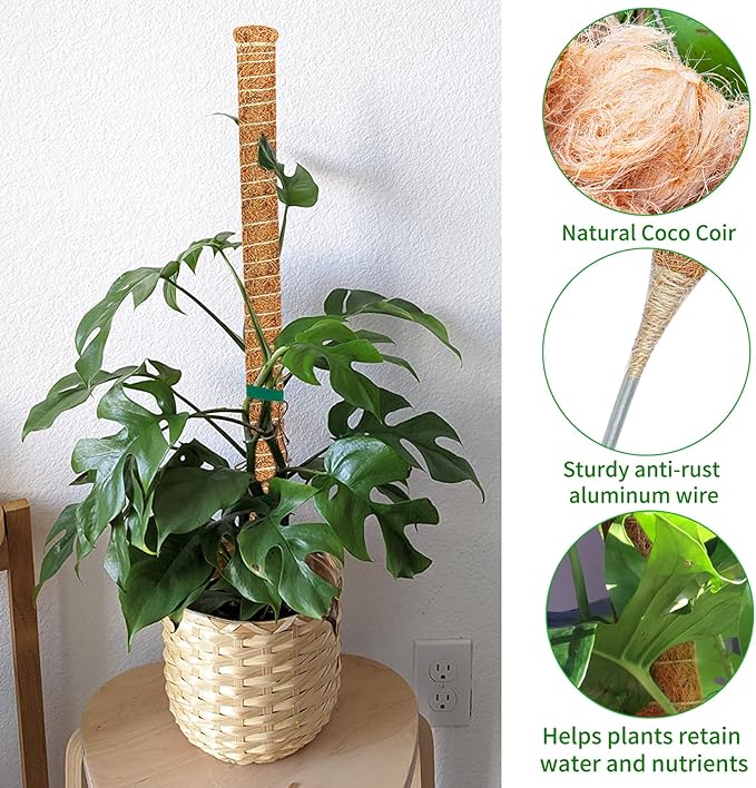 4 Pack 28 Inch Moss Pole Monstera Plant Support, Coir Moss Poles - Image 9