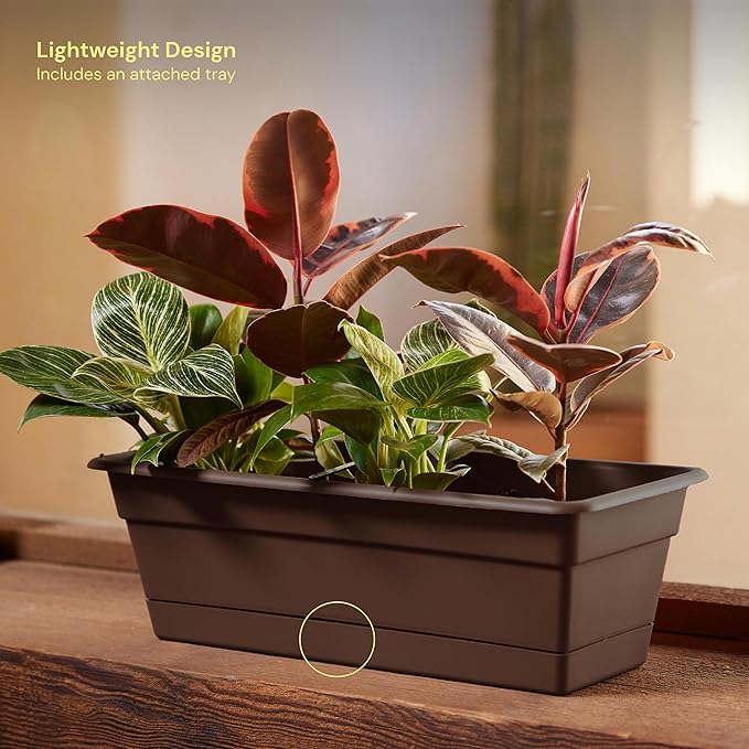 Bloem Dura Cotta Window Box Planter: 30" - Image 7