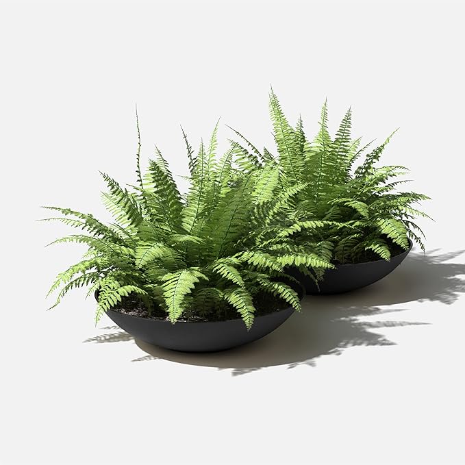 Veradek Mason Series Lane Bowl Planter| - Image 8