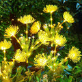 Brightown Outdoor Solar Garden Lights by Brightown