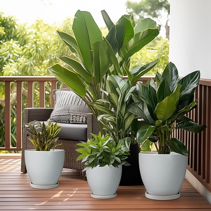 Ceramic Pots for Plants - Image 7