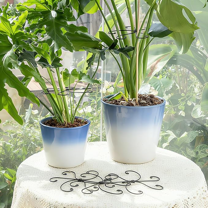 Monstera Plant Stem Support Set - Image 6