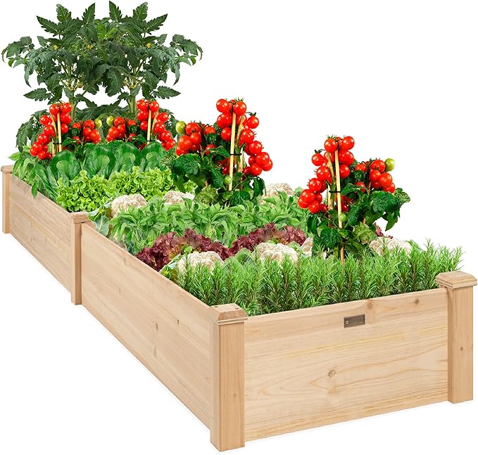 Best Choice Products 8x2ft Outdoor Wooden Raised Garden Bed Planter by BestChoiceProducts