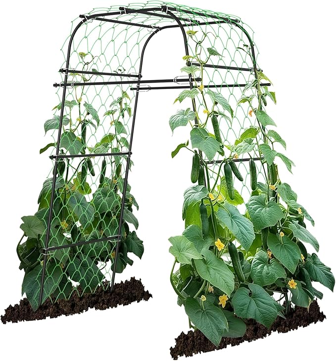 Garden Arch Plant Trellis for Climbing Plants Outdoor, Cucumber Trellis for by AlisisFores