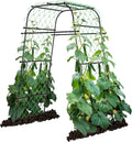 Garden Arch Plant Trellis for Climbing Plants Outdoor, Cucumber Trellis for by AlisisFores