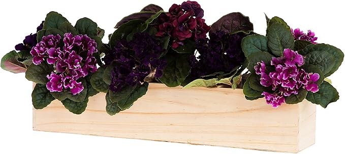 20" Rectangular Rustic Wood Planter - Image 4