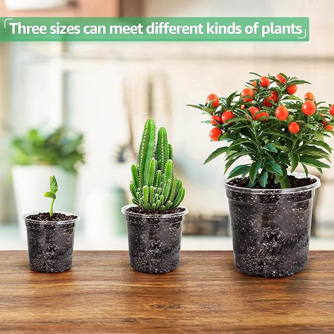 36 Packs 5/4/3.5 Inch Reinforced Clear Nursery Pots - Image 6