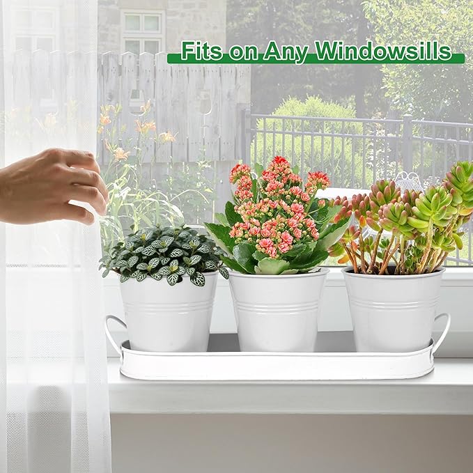 Herb Garden Planter Indoor Kit – 6 Metal Pots - Image 4