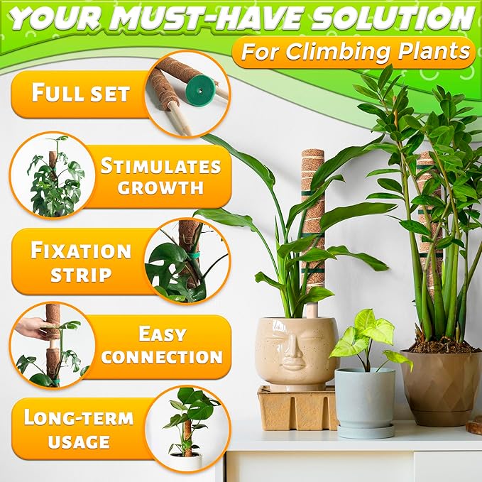 Moss Pole 26.4" Small Monstera Plant Support 2 Pcs Set - Image 4