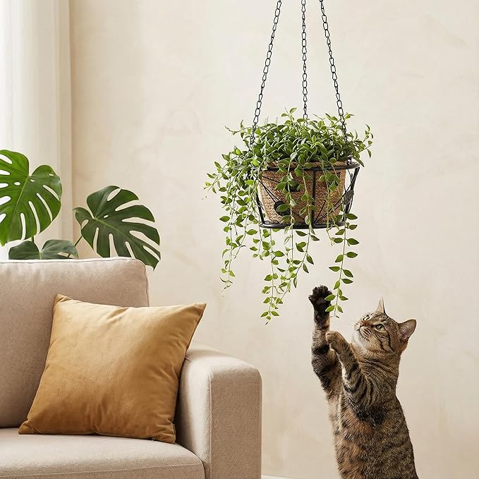 Goaste 2 Pack Metal Plant Hanger, Hanging Plant Holder - Image 7