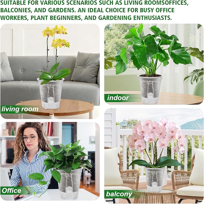 Cdd's Path Large Naked Root Planter Self Watering Pots Set - Image 5