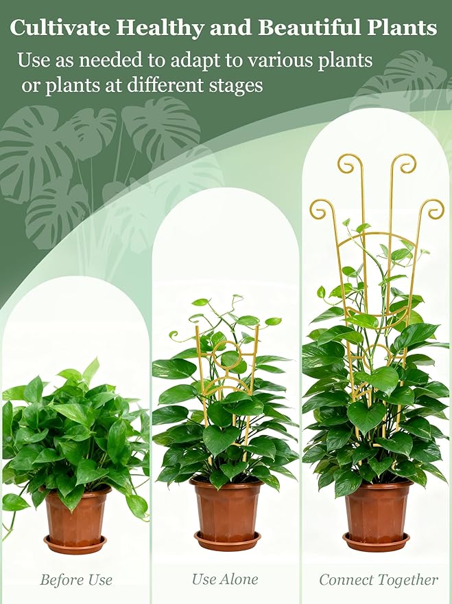 33 Inch Tall Expandable Metal Trellis - Image 5