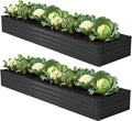 12x2x1ft Galvanized Raised Garden Bed, Outdoor Planter Box Metal Patio Kit by Foxlang
