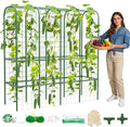 65" Tall Cucumber Trellis for Raised Bed, Garden Trellis for Climbing Plants by HOYEJYOU