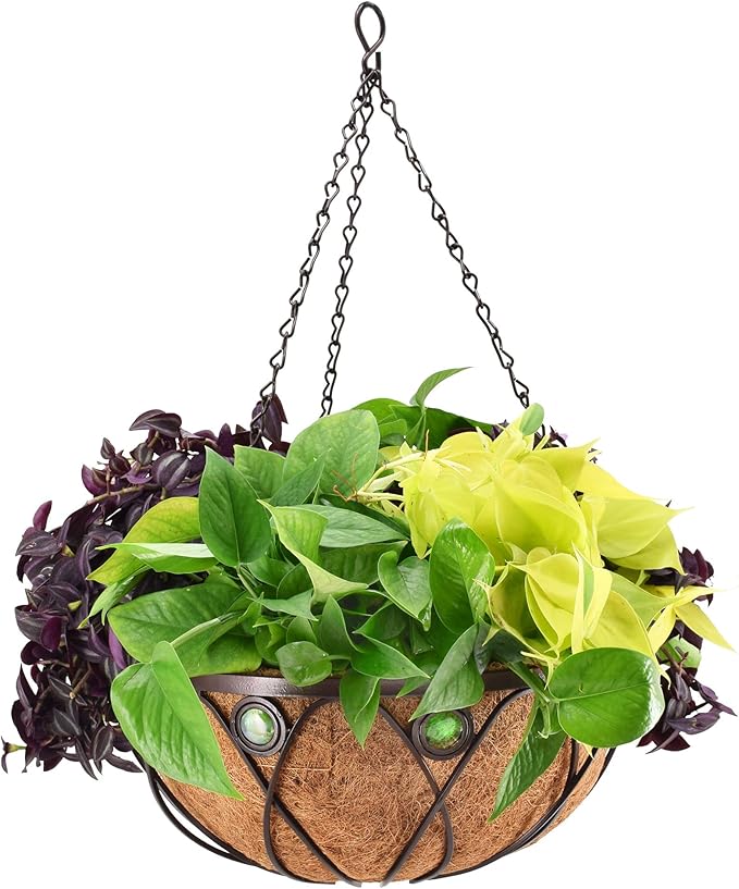 Arcadia CB02 Emerald Series Round Hanging Basket Planters by Unknown
