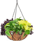 Arcadia CB02 Emerald Series Round Hanging Basket Planters by Unknown