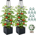 2 Pack Raised Garden Bed Planter Box by Monirsen