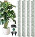 60" Metal Moss Pole, D Shape Sphagnum Moss Pole, Moss Poles by HOLANHING
