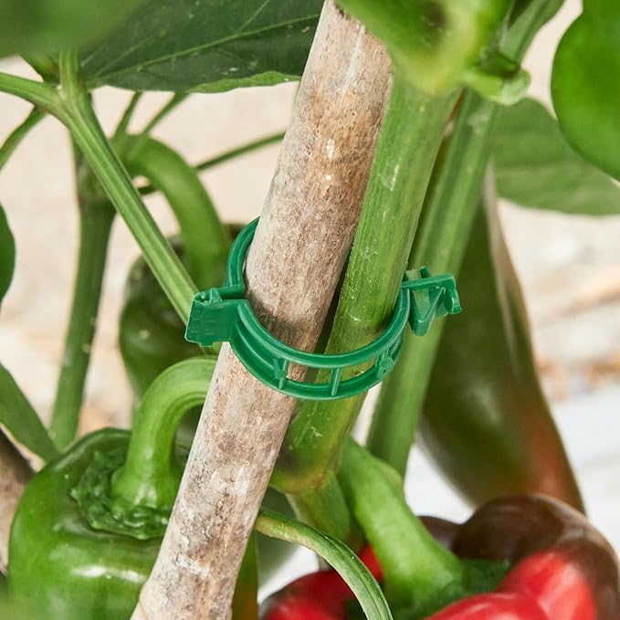 100 Pcs Plant Support Clips, Plastic Clips - Image 9