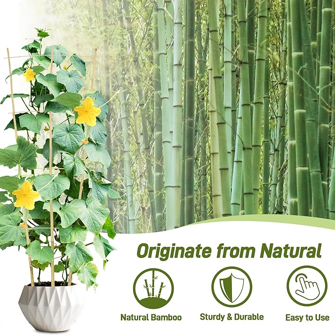 Avalution 10 Pack Bamboo Trellis - Image 3