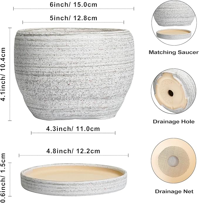 SQOWL Ceramic Planters for Indoor Plants - Image 3