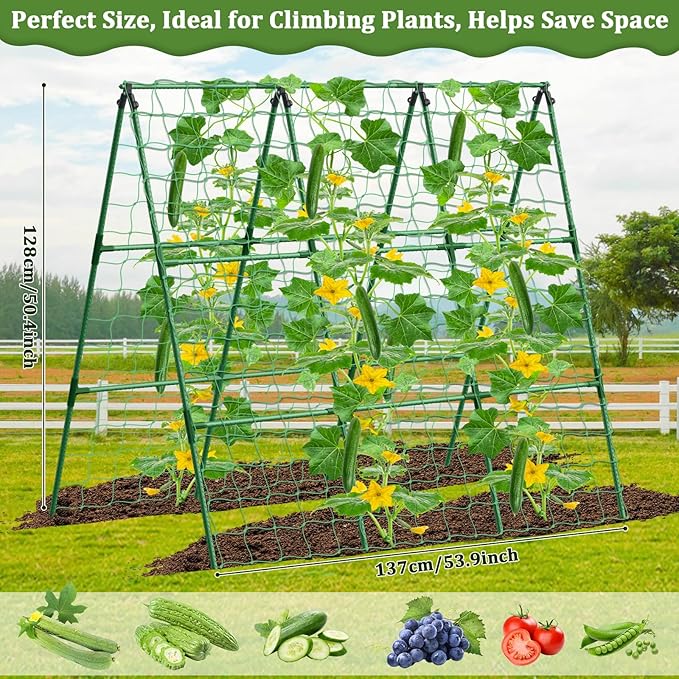 Cucumber Trellis for Raised Bed, 50x 54 inch A-Frame Garden Trellis for - Image 6