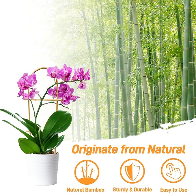 Avalution 10 Pack Bamboo U Trellis - Image 3