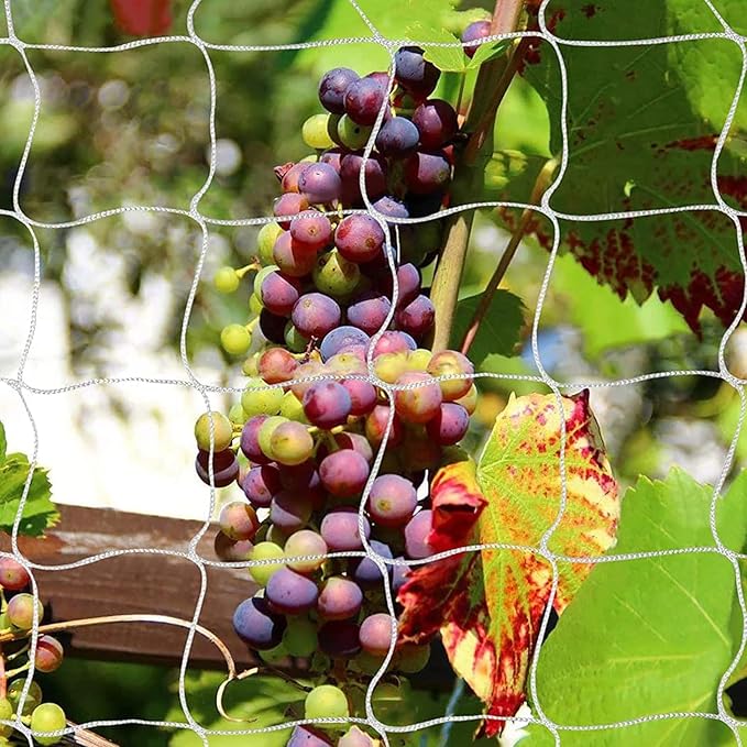 Tcamp Trellis Netting for Plants by Tcamp
