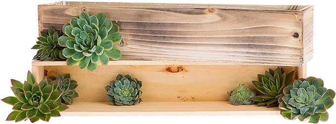 20" Rectangular Rustic Wood Planter - Image 5