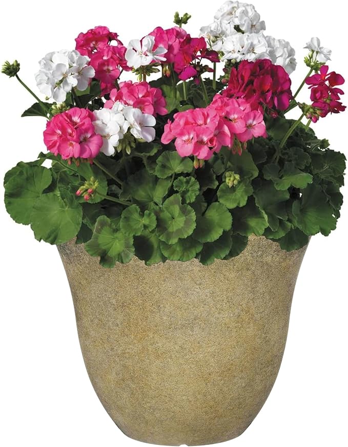 Classic Home and Garden Honeysuckle Resin Flower Pot Planter, Fossil Stone - Image 3
