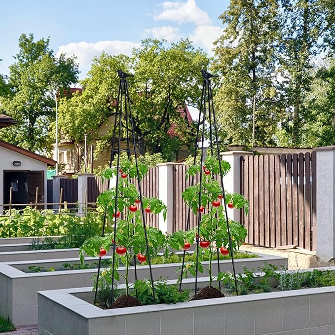 Cucumber Trellis, 2 Pack - Image 2