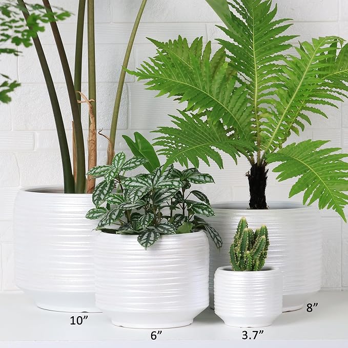 10 Inch Ceramic Plant Pot with Drainage – Large Flower Pot - Image 4