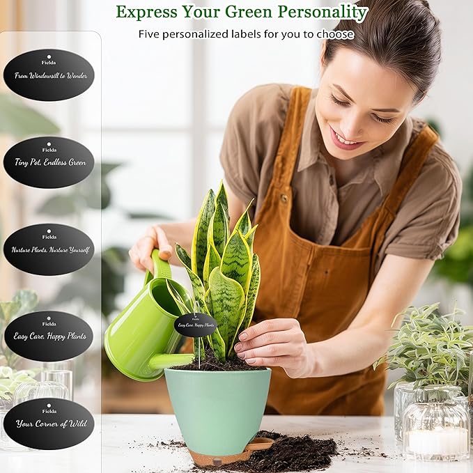 6 Inch Self Watering Pots for Indoor Plants – Small Plastic Planters - Image 3