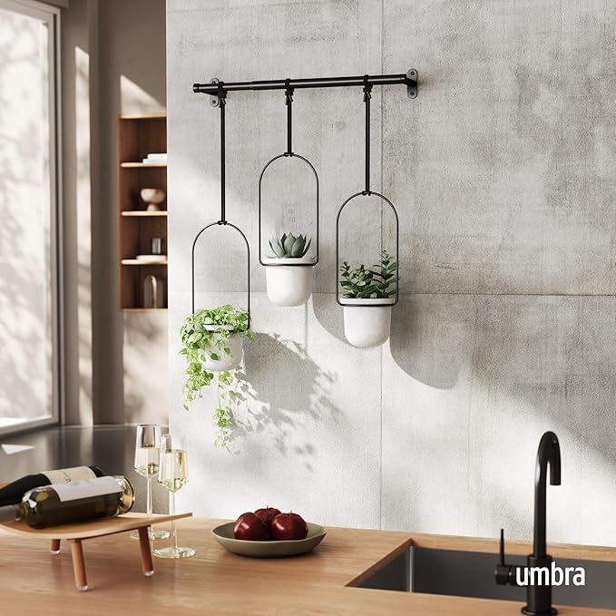 Umbra Triflora Hanging Planter for Window, Indoor Herb Garden - Image 2