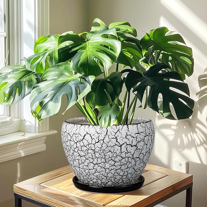Ceramic Planters for Indoor Plants - Image 7