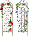 Best Choice Products Set of 2 60x15-inch Iron Arched Garden Trellis w/Branches by BestChoiceProducts