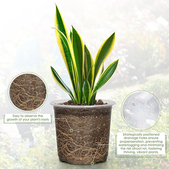 4 Inch Clear Nursery Pots for Plants - Image 3