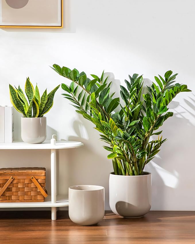 vancasso 6+8+10 inches Ceramic Plant Pots, Planters - Image 6