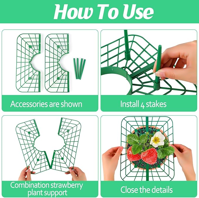 6 Sets Strawberry Plant Support - Image 3