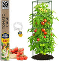 Tomato Cage Square by K-BRANDS