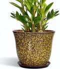 Ceramic Pots for Plants by SUNPOTFOR