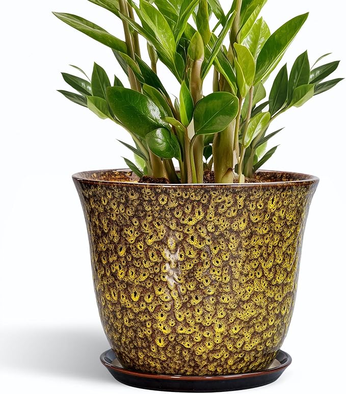 Ceramic Pots for Plants by SUNPOTFOR