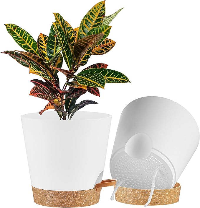 FaithLand 2-Pack 9 Inch Planter Pots by FaithLand