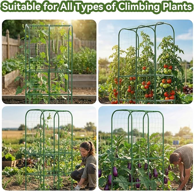 65" Tall Cucumber Trellis for Raised Bed, Garden Trellis for Climbing Plants - Image 4