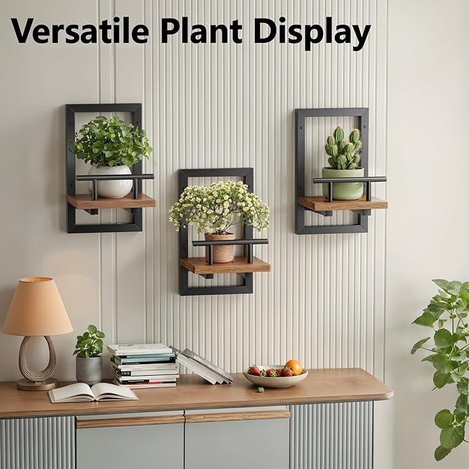 Floating Shelves for Wall, Plant Shelf Indoor, Wall Planters for Indoor - Image 6